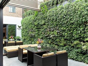 广州植物墙的四季春常之美