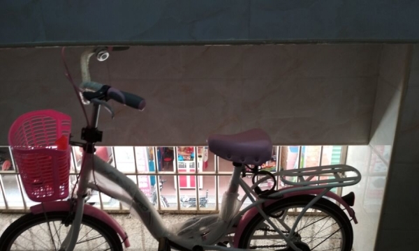 自行车刚刚买29天没骑几天还有99新 20寸自行车 女款式
