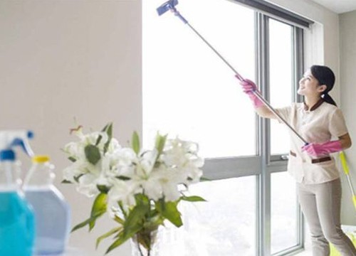 海沧防治白蚁厦门专业处理白蚁