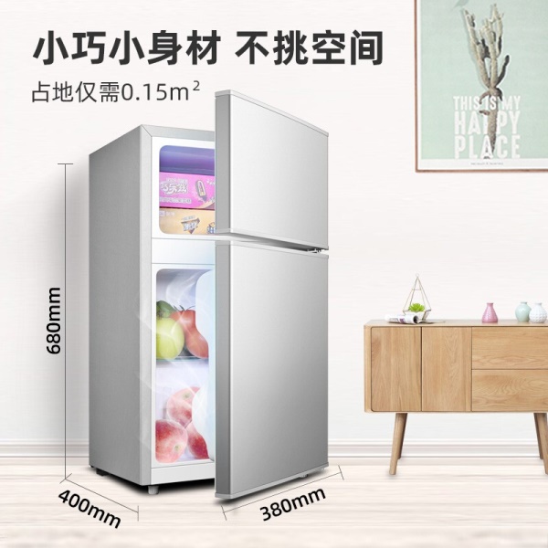 荣事达（Royalstar）【送货上门】迷你冰箱小 小型双门电冰箱家用宿舍冷冻冷藏节能